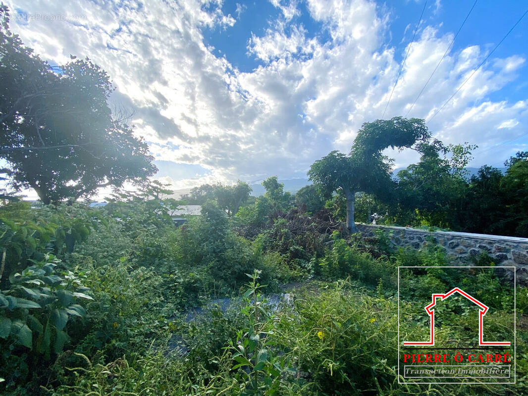 Terrain à LE TAMPON