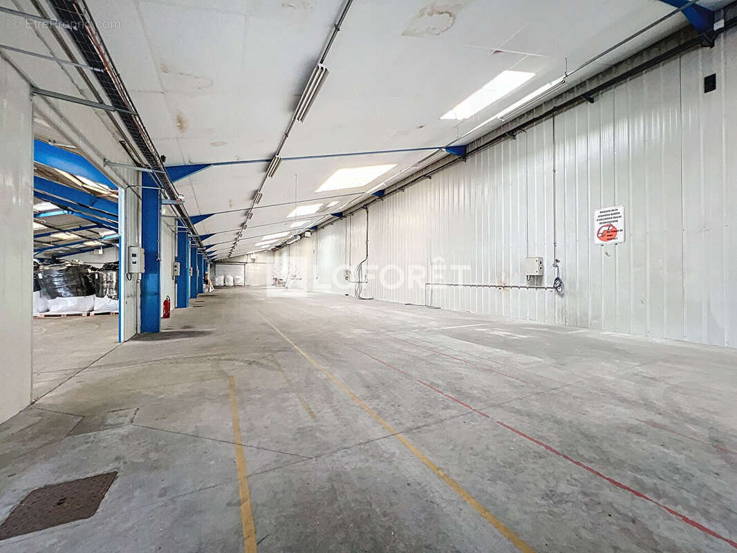Entrepôt / local industriel Le Puy Notre Dame 4500 m2 - photo 11