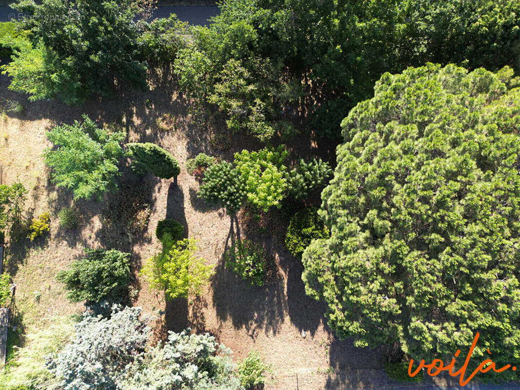 Terrain à CARCASSONNE