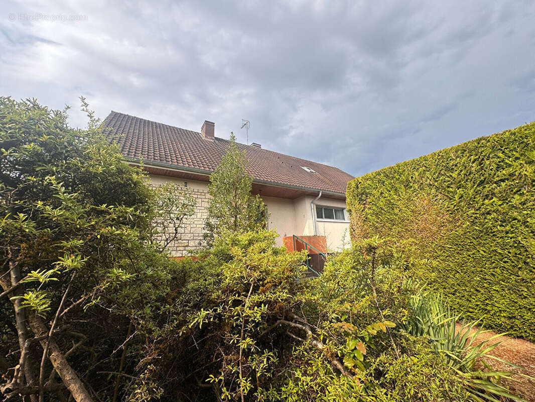 Maison Chenove 8 pièce(s) 220 m2 - photo 2