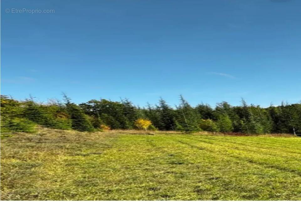 Terrain à BELPECH