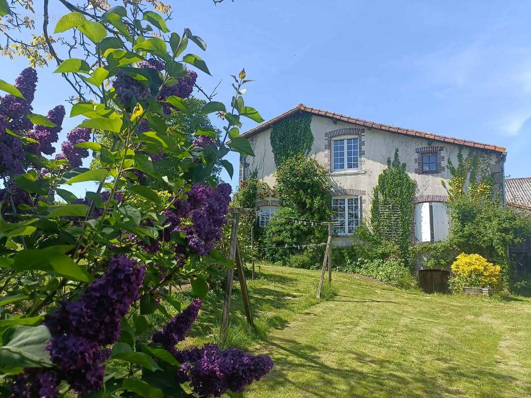 Maison à MENOMBLET