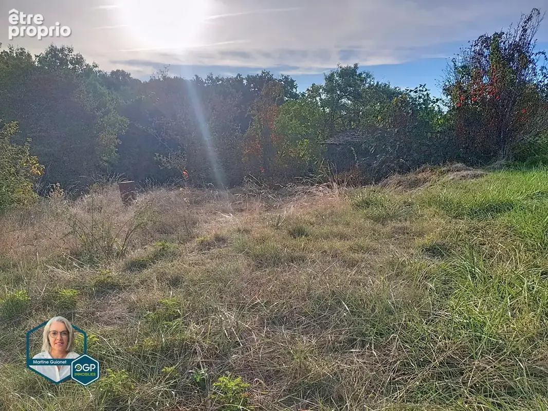 Terrain 1 587 m² à vendre à Castelnau-D'estretefonds (31620) - photo 2