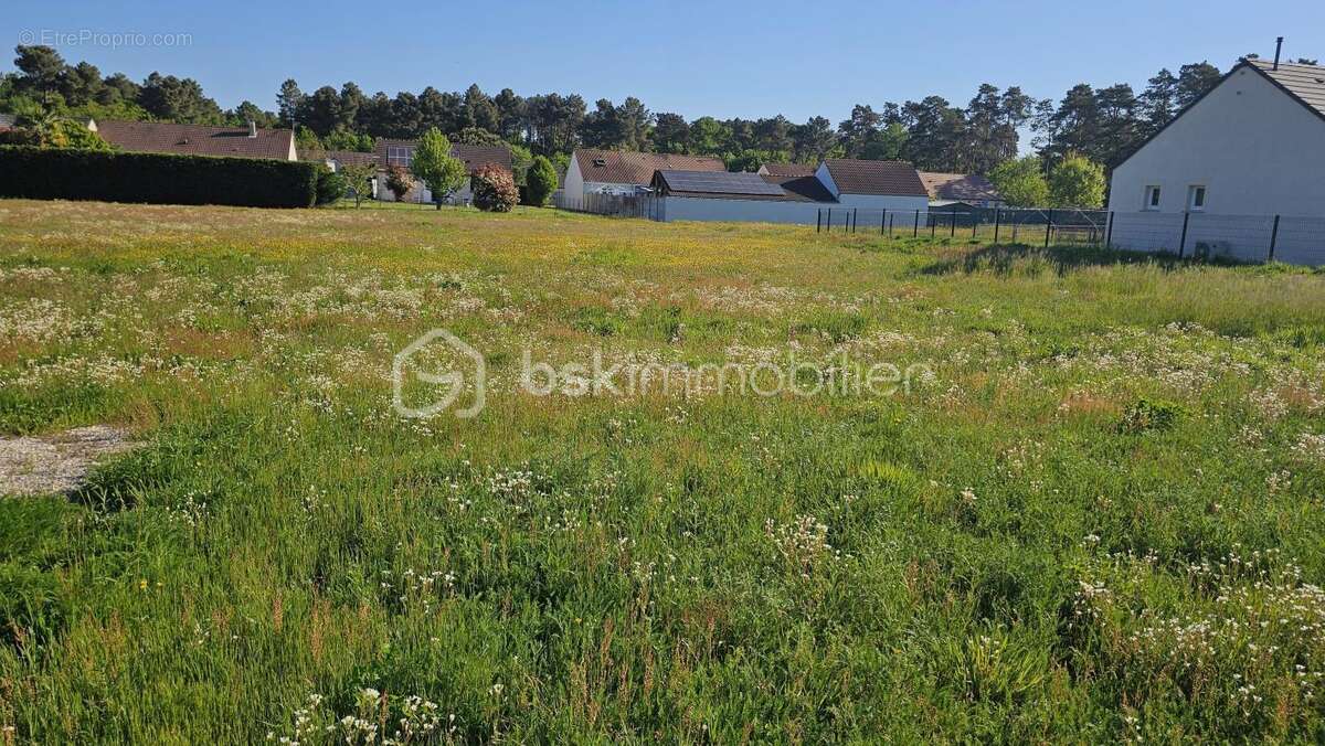 À VENDRE – Terrain Viabilisé à BRAY-SAINT-AIGNAN (45460) - photo 3