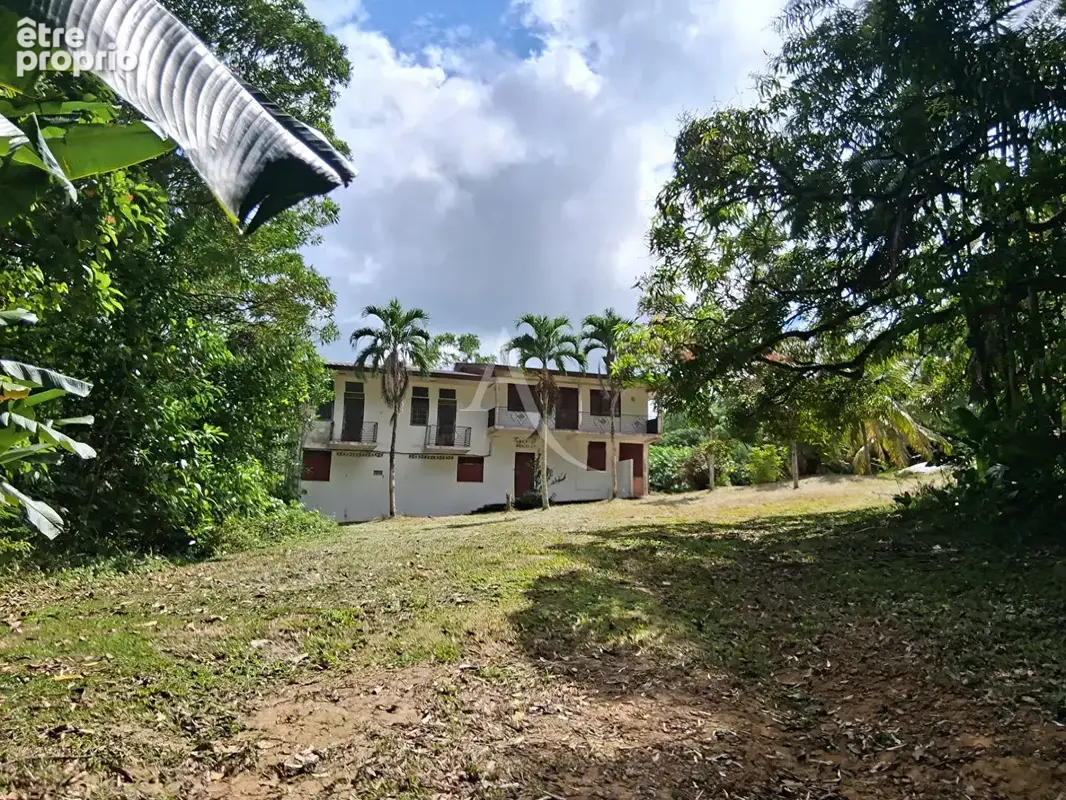 Photo Appartement à Matoury au prix de 500 000€