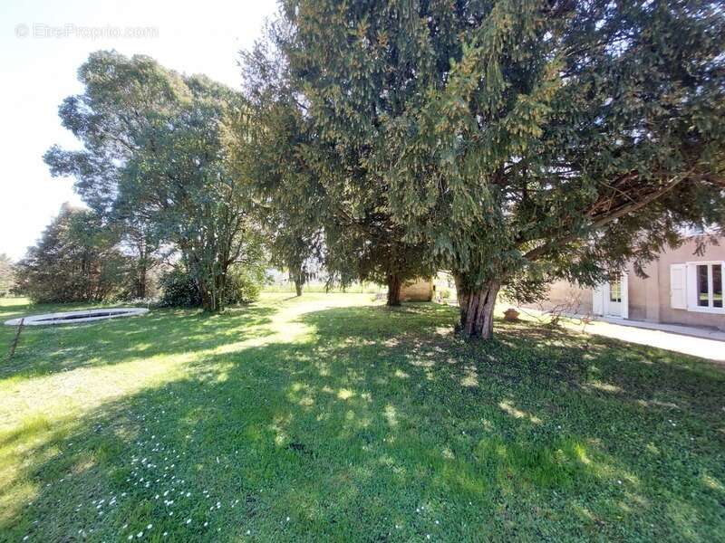 Maison de maitre avec  dependances deux pigeonniers sur parc de 5000m² - photo 41