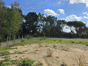 Terrain à SAINT-JEAN-DE-MONTS