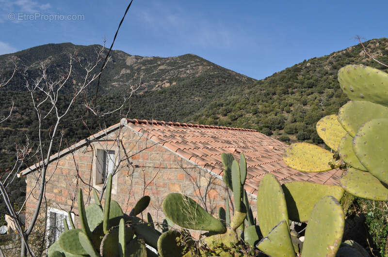 Dpt Corse (20), à vendre PARTINELLO, maison en pierres avec terrasse et parking, proche de la plage - photo 3