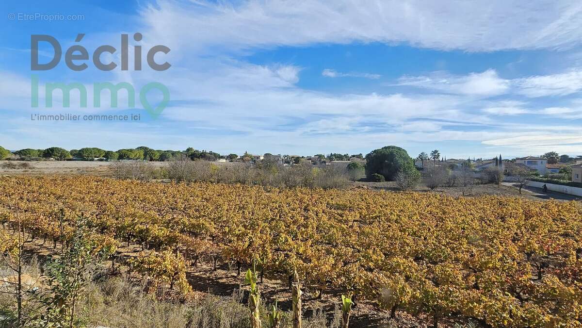 Villa entre Vignes et Mer à Marseillan - photo 16