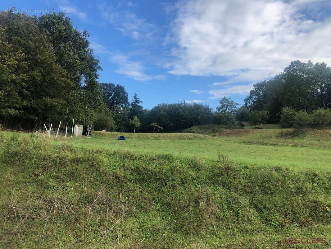 Terrain à CONNERRE