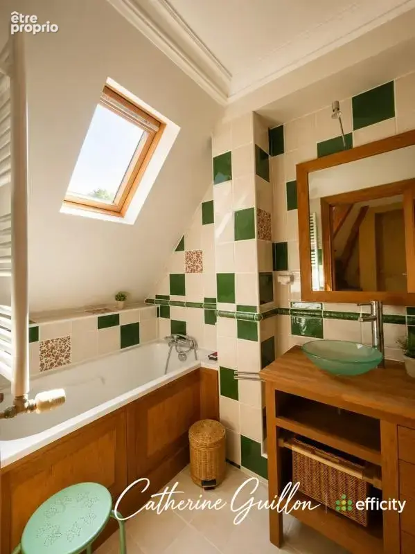 Maison 18 pièces 560 m² à vendre à Ingrandes (86220) - photo 16
