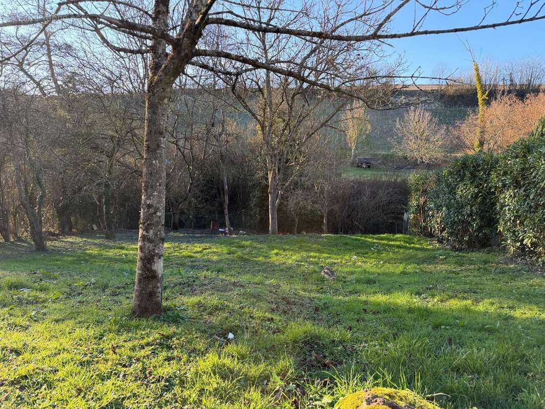 Photo 2 - Maison à MONTREUIL-AUX-LIONS