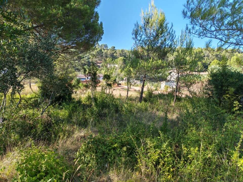 Terrain 900 m² à Camps-La-Source  - photo 4