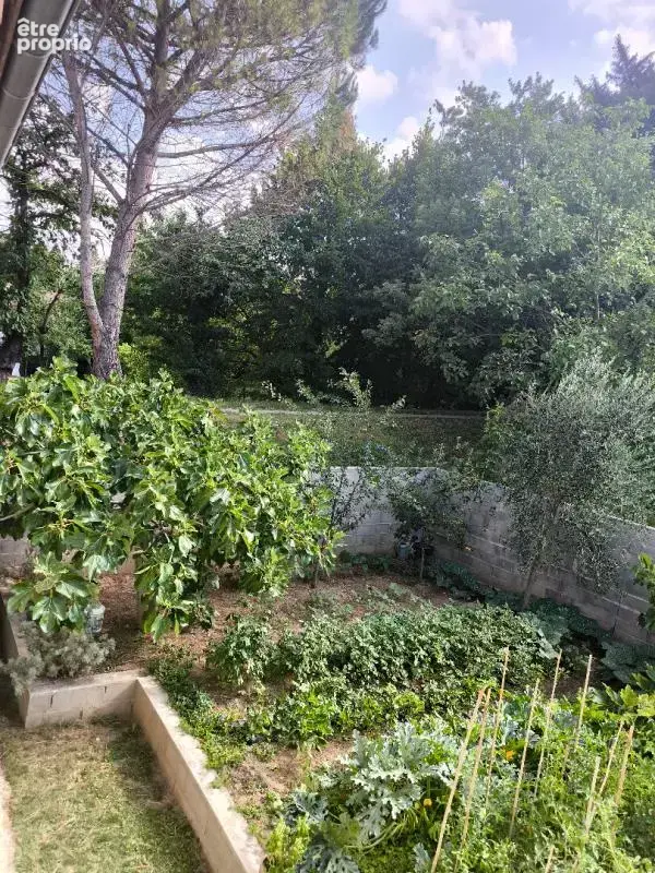 Roussillon - Belle maison individuelle  - terrain constructible - photo 14