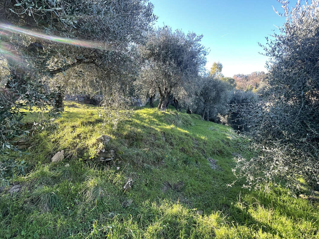Terrain à BERRE-LES-ALPES
