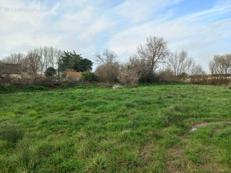 Terrain à SAINT-JEAN-DE-MONTS