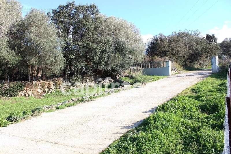 EXCLUSIVITE : Proche de L'ILE ROUSSE, Plaine du Reginu, propriété en pierre T5 161 m² sur 1.96 ha de terrain - photo 13