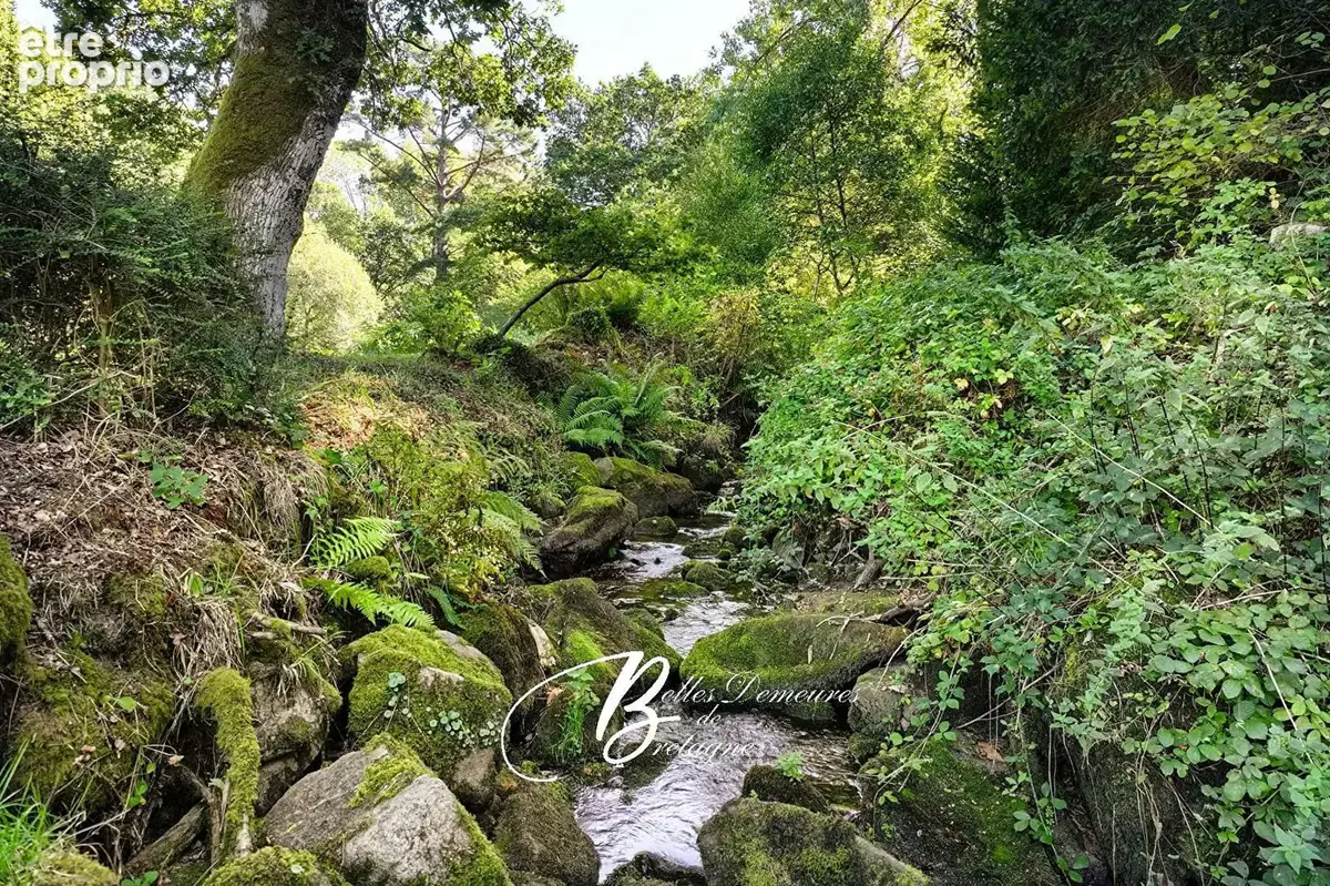 A vendre moulin et son étang dans un cadre nature - photo 4