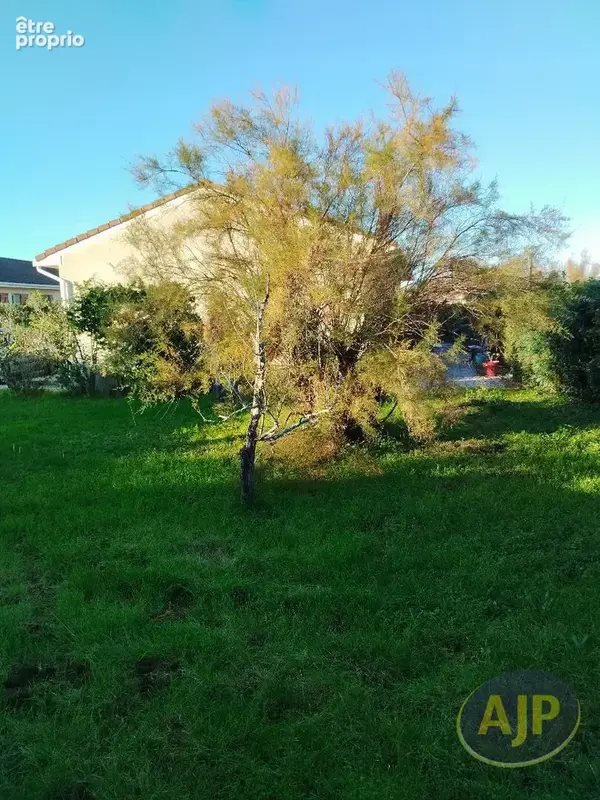 Maison plain-pieds 90m2 - 3 chambres - Jardin 500m2 - Garage - Pauillac - photo 3