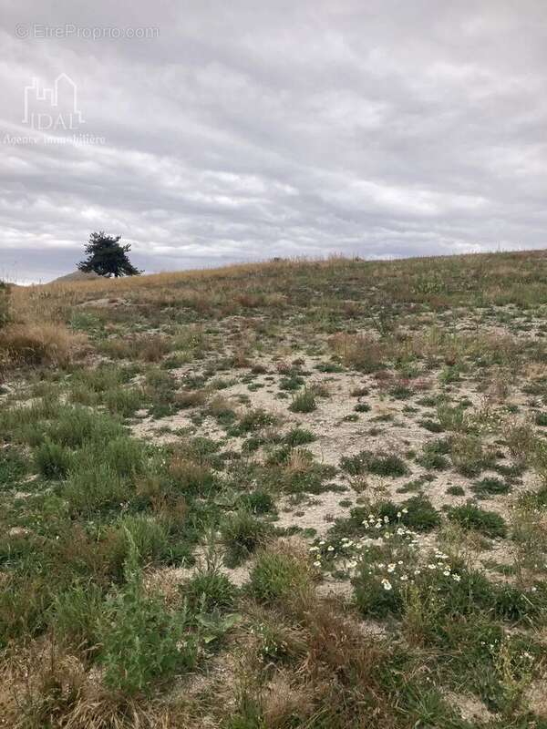 Terrain à SAINT-DENIS-EN-MARGERIDE