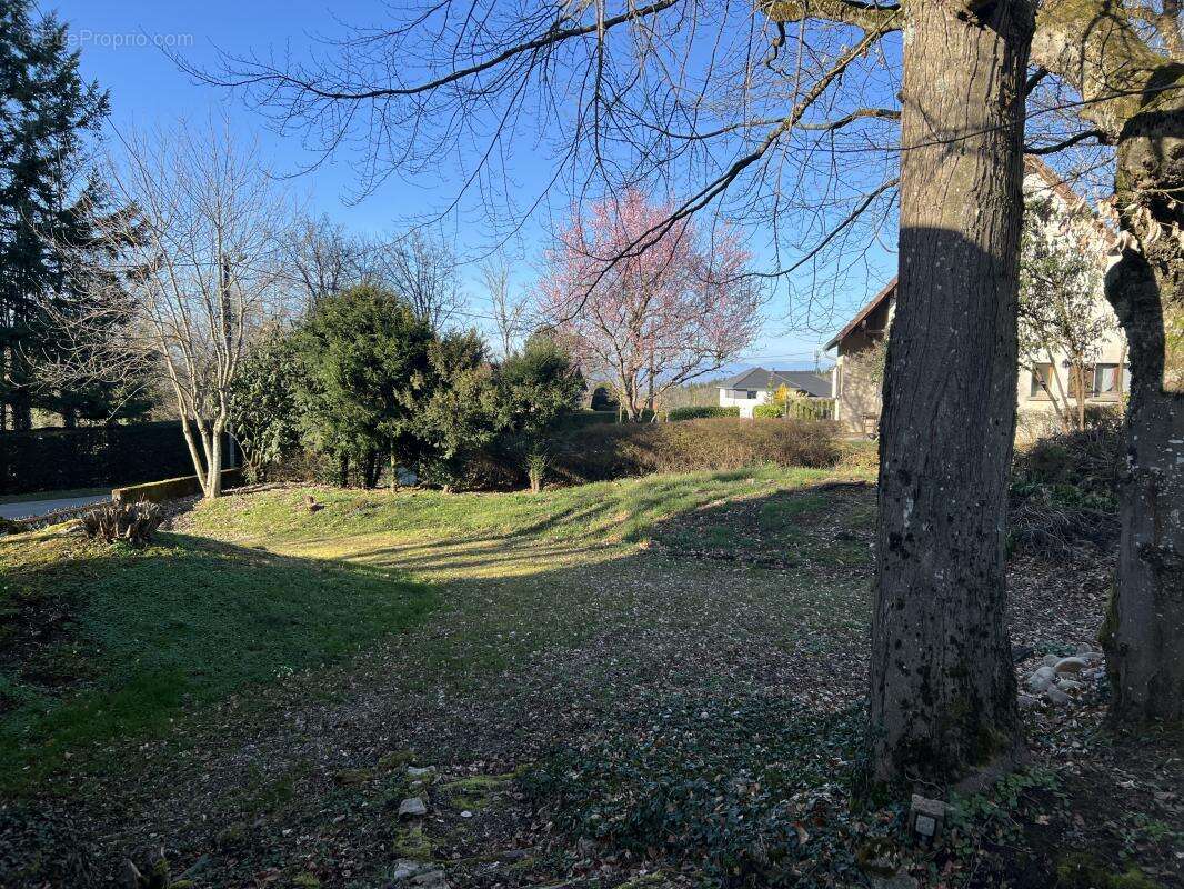 Maison à MONTBOUTON