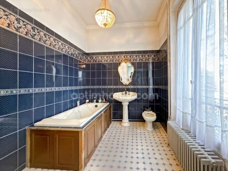 Propriete -  maison bourgeoise d'exception 10 pieces - 220 m2 - terrain 2500 m2 - photo 8