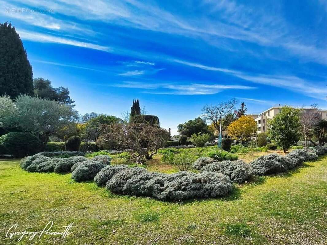 Photo 2 - Appartement à SIX-FOURS-LES-PLAGES