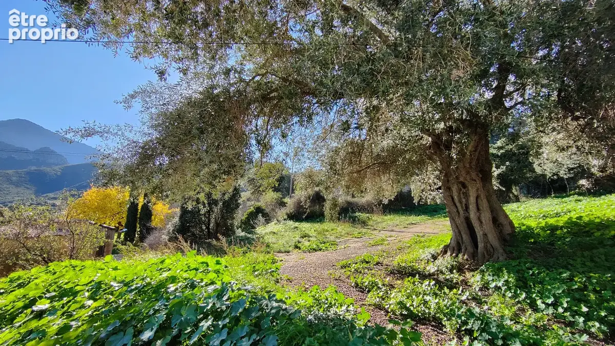 EXCLU VENTE : Terrain à batir, de 567,00 m² MONCALE (20) CU positif - photo 2