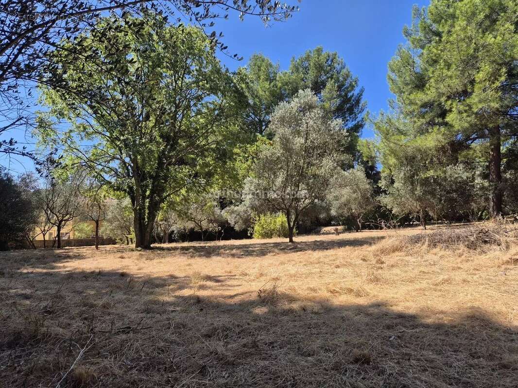 Vente Terrain Draguignan(83300) 145 000ï¿œ - photo 2