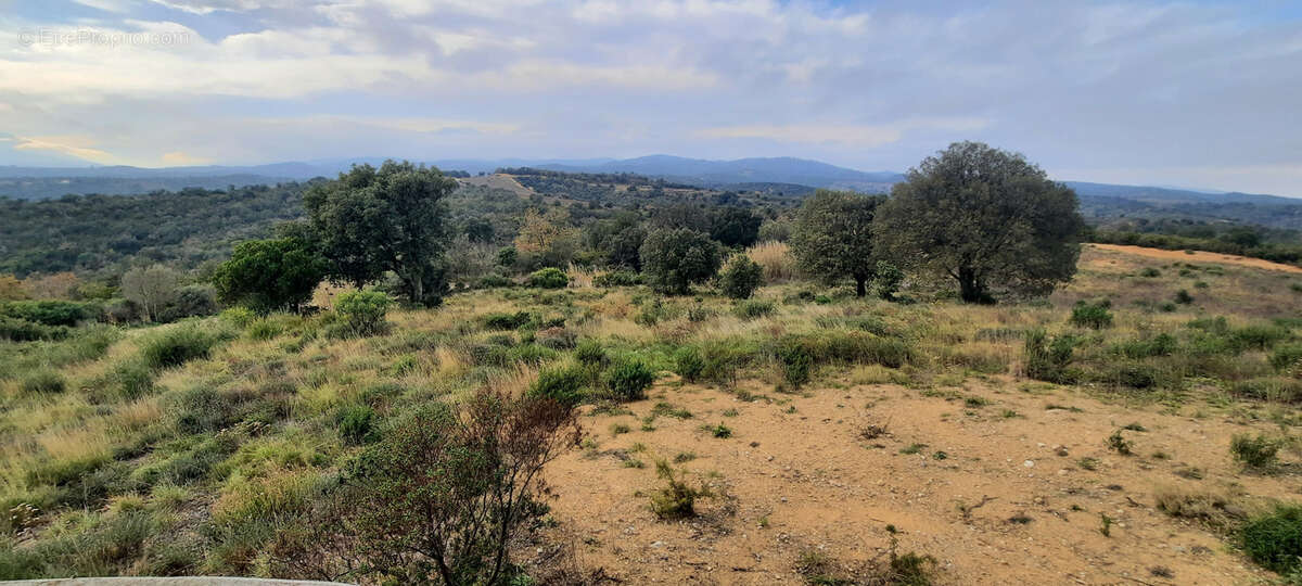 Terrain de loisir avec casot nature vue canigou calme vallespir - photo 8