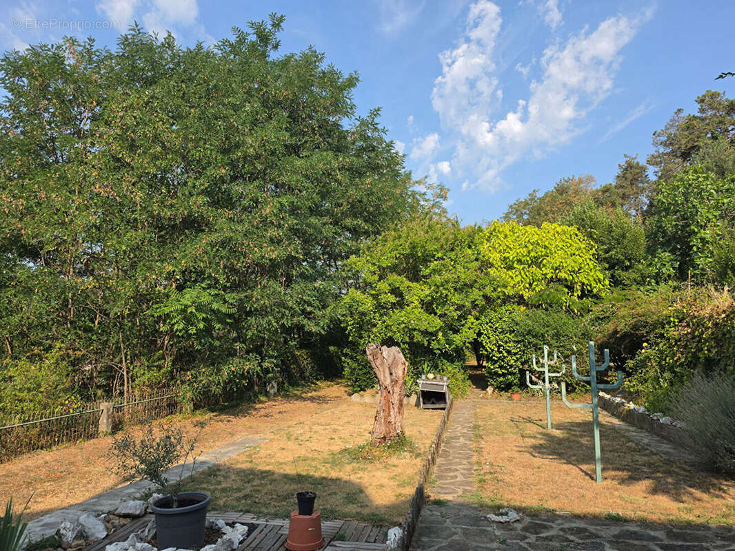 Appartement avec grand terrain - photo 3