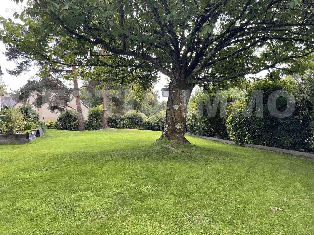 _copie-0_IMG_2545 - Maison à SUCE-SUR-ERDRE