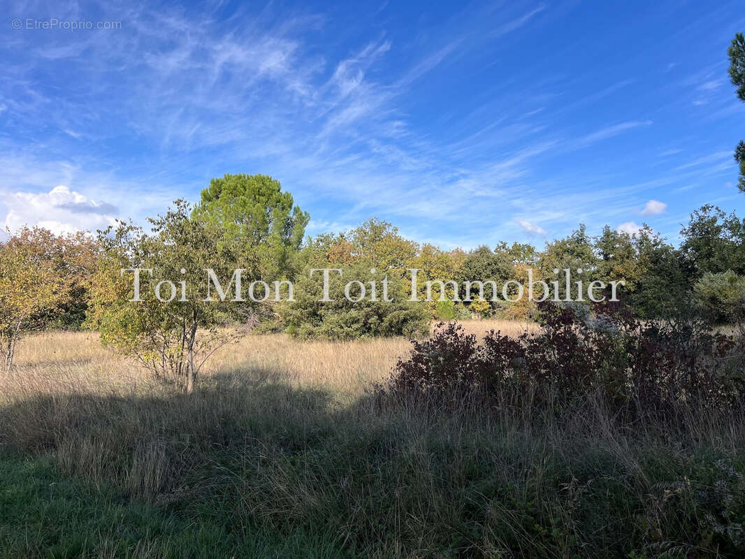 Terrain à SAUVE
