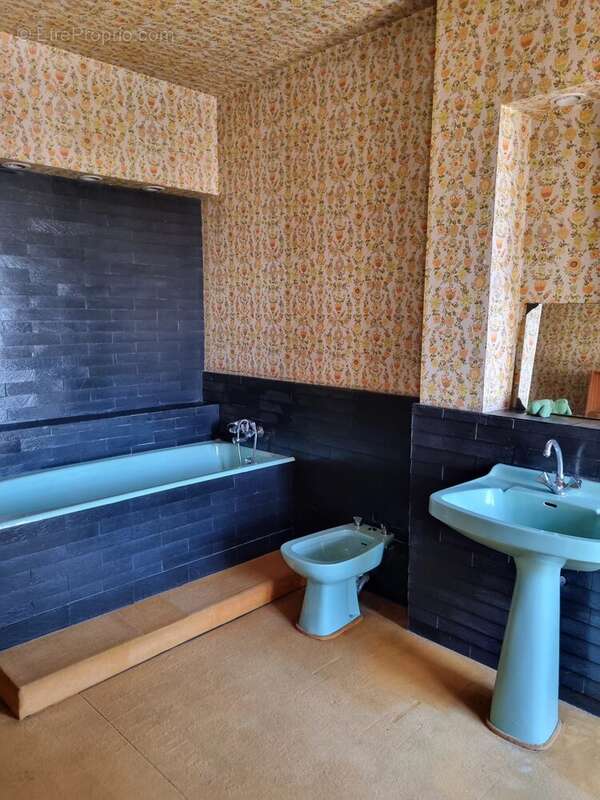 Maison à CHATEAUNEUF-SUR-CHER