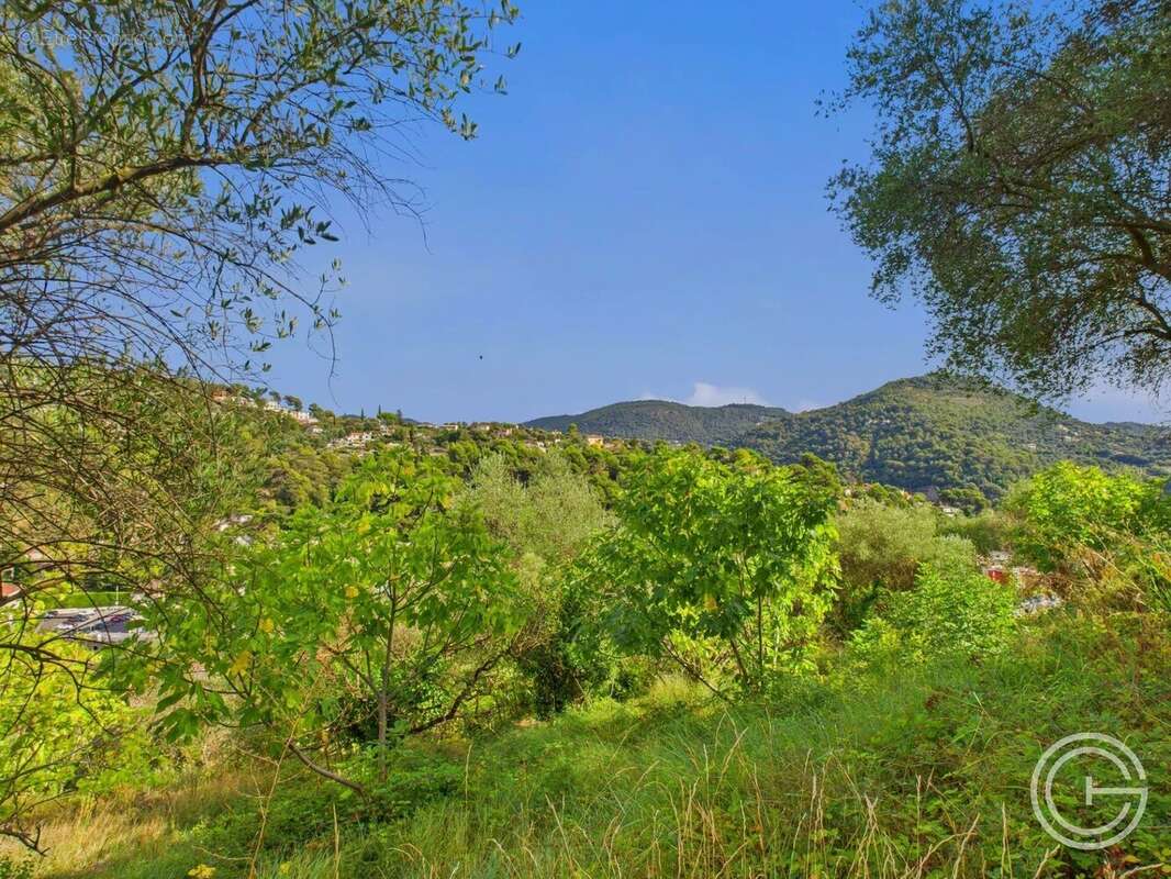 Terrain Constructible - 1.329m² - Chemin de Rimiez - ST ANDRE DE LA ROCHE - photo 10