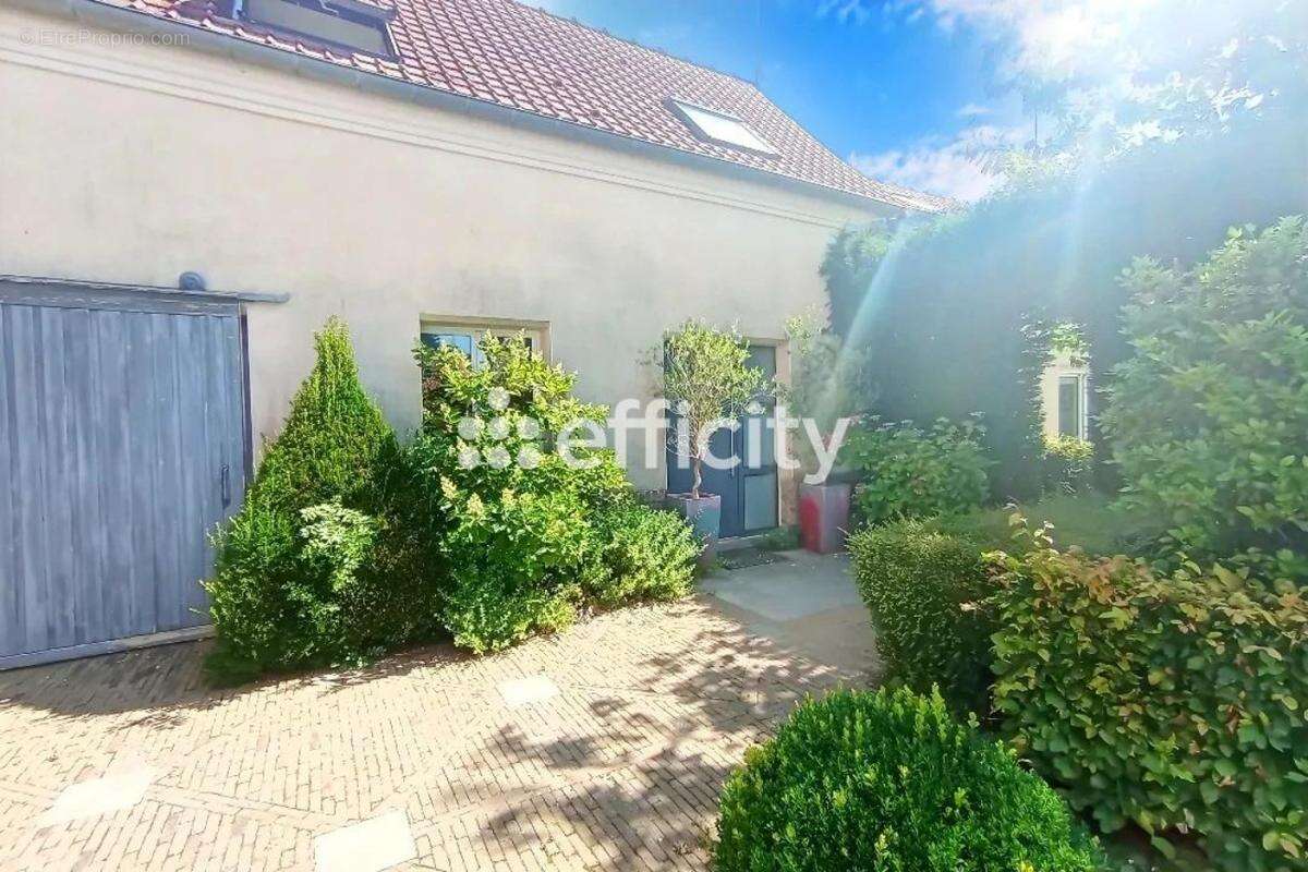 Maison 224 m² à Maizicourt  - photo 4