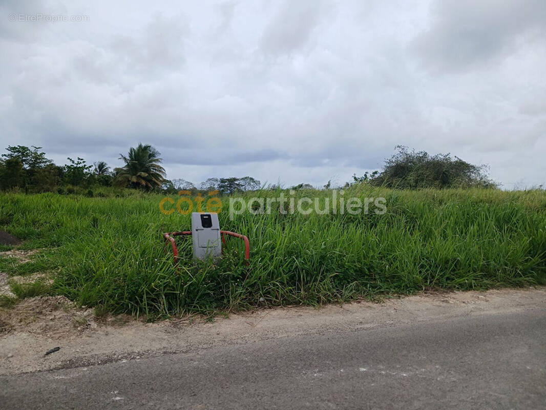 Terrain à SAINTE-ANNE