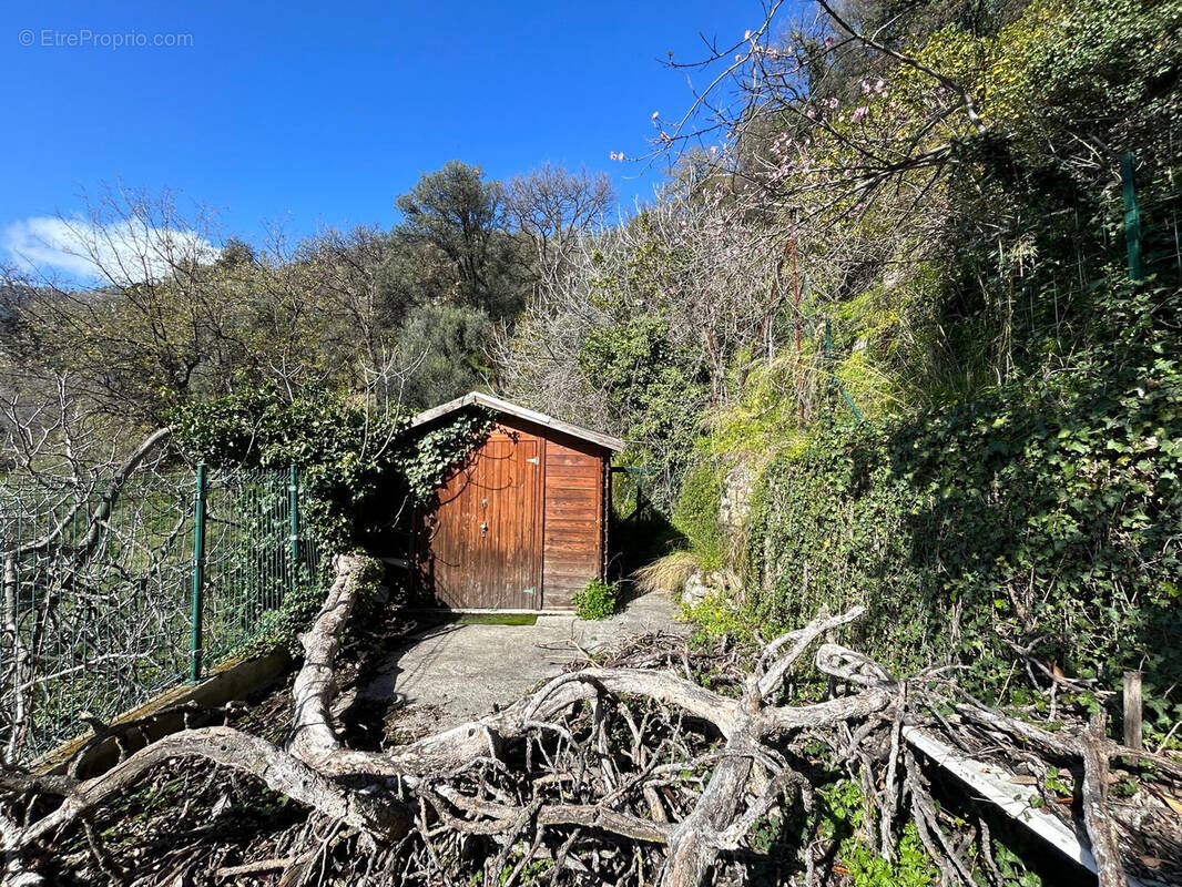 Terrain à MENTON