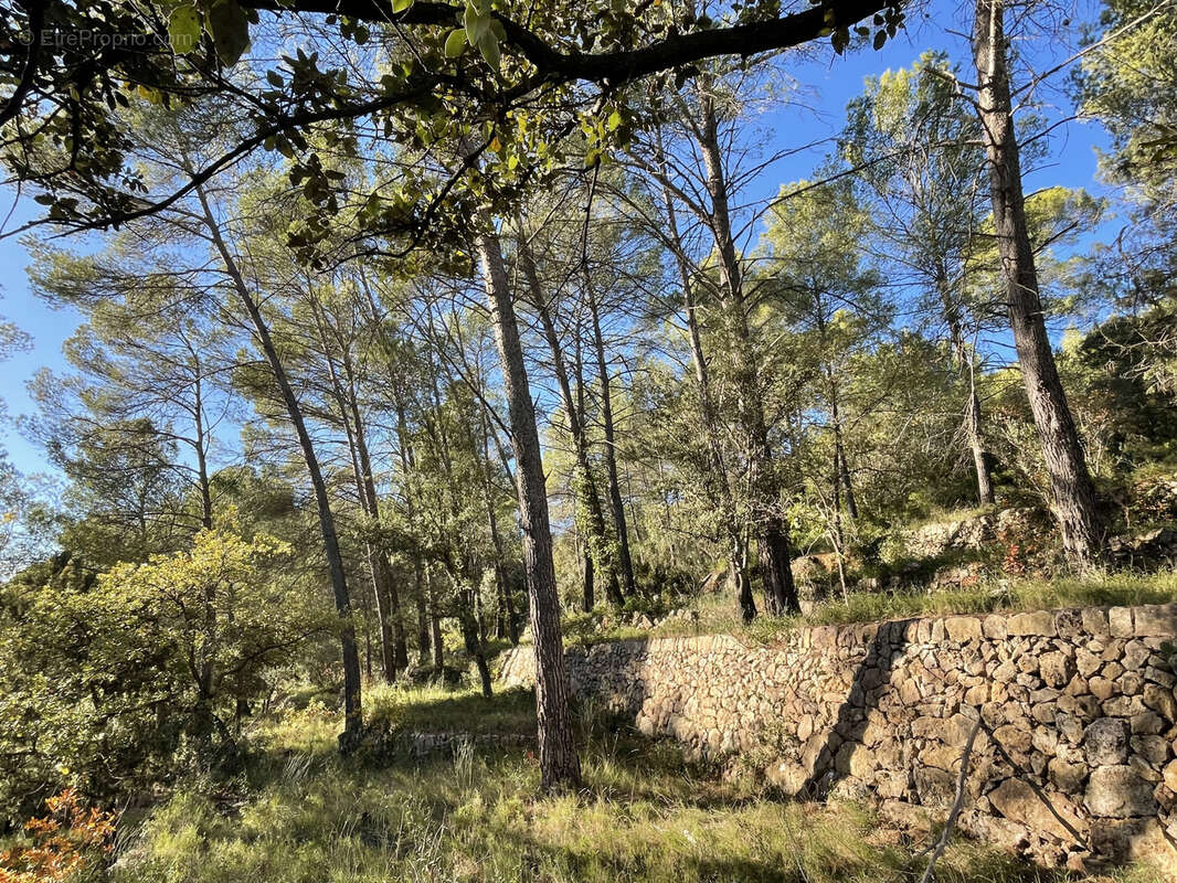 Maison à MONTFORT-SUR-ARGENS