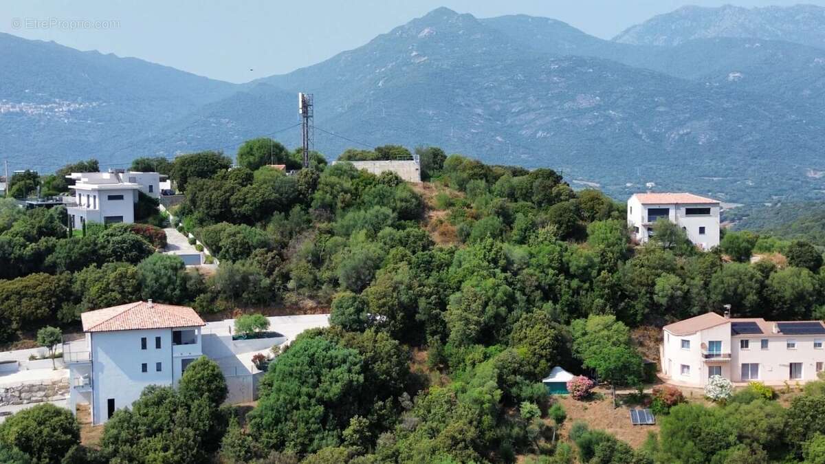 Terrain à VIGGIANELLO