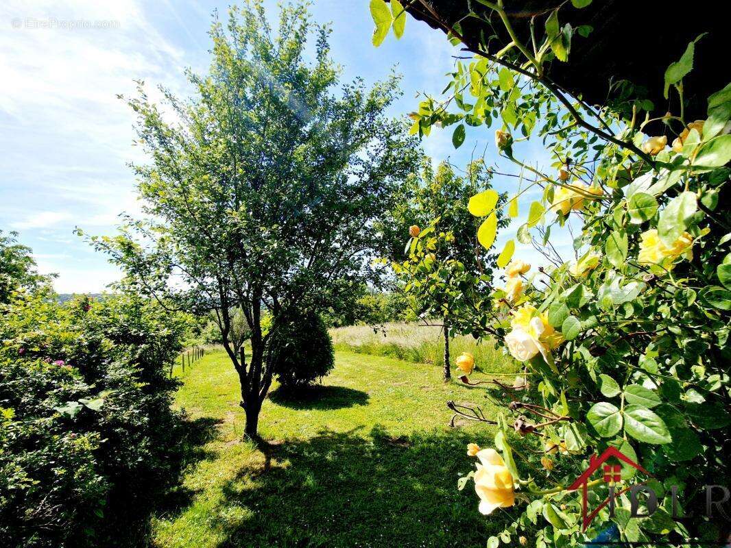 Maison à TERRE-NATALE