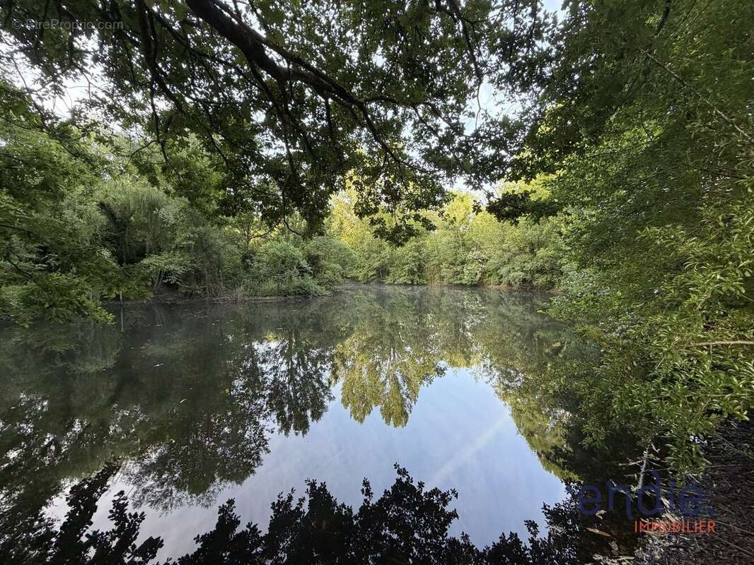 Domaine atypique - Moulin & Gites 11 pièces - 7 ha - Piscine Couverte - A 12 min d' ALBI - photo 2