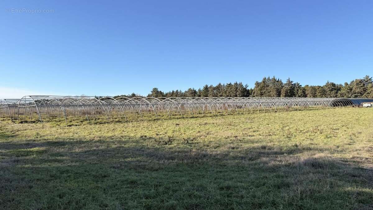 Maison à FONTVIEILLE