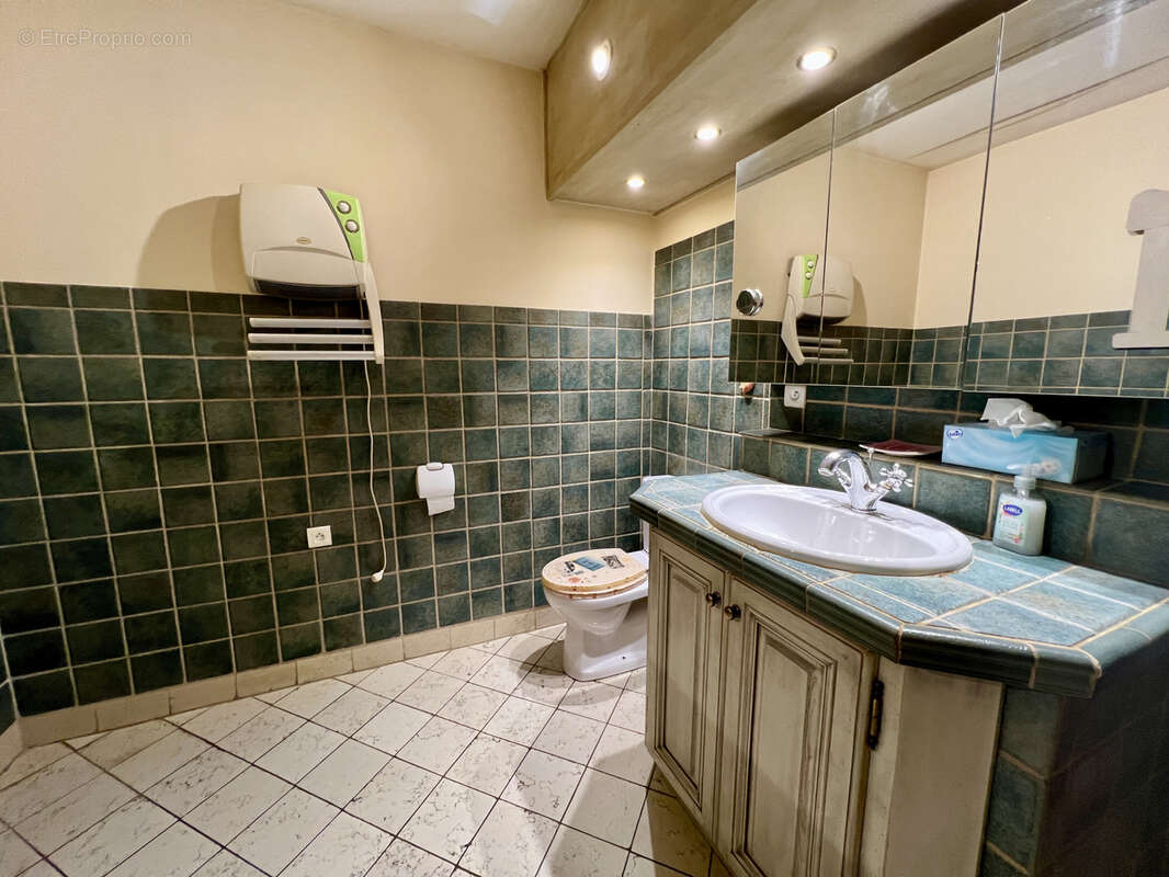 Maison à SAINT-ROMAIN-EN-VIENNOIS