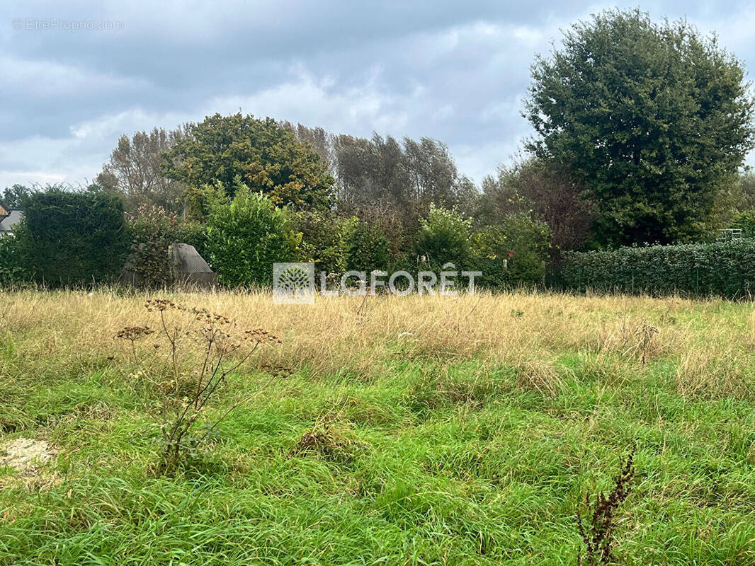 Terrain à WANNEHAIN