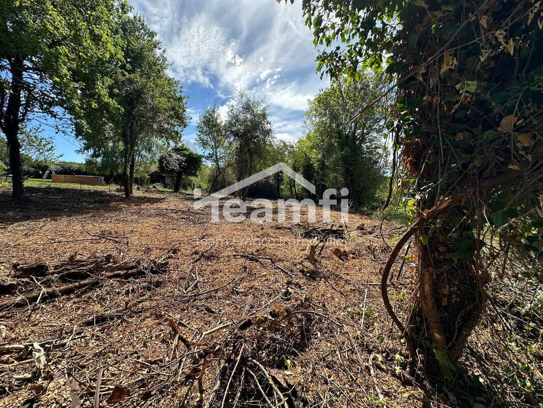 Terrain à THIERS