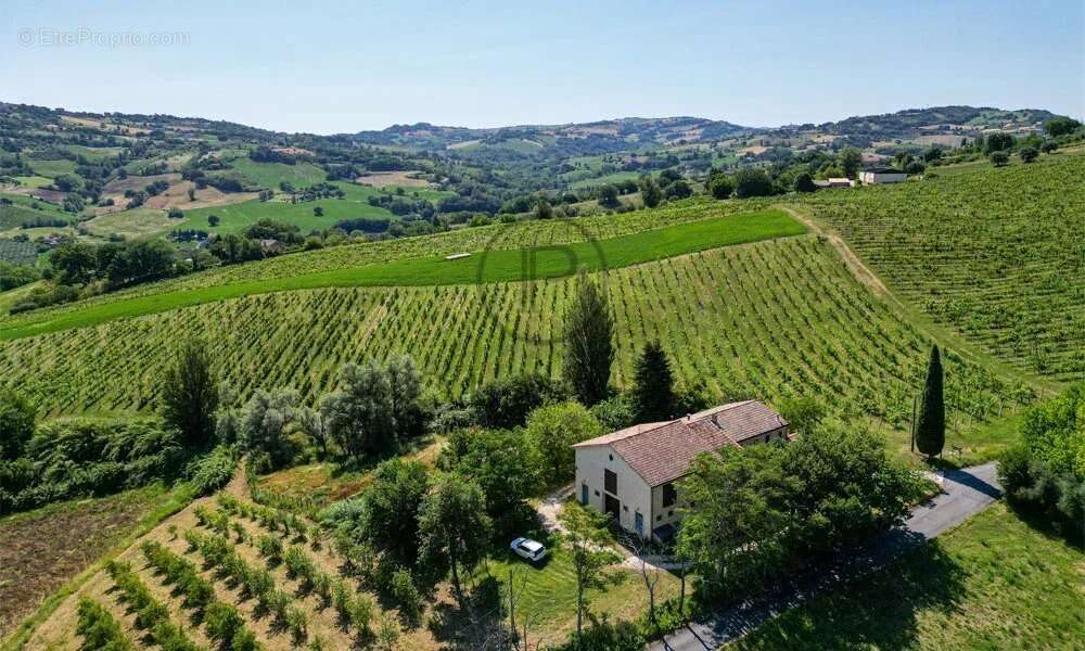Ferme avec appartements, laboratoire de transformation et boutique à la ferme — Le Marche - photo 8