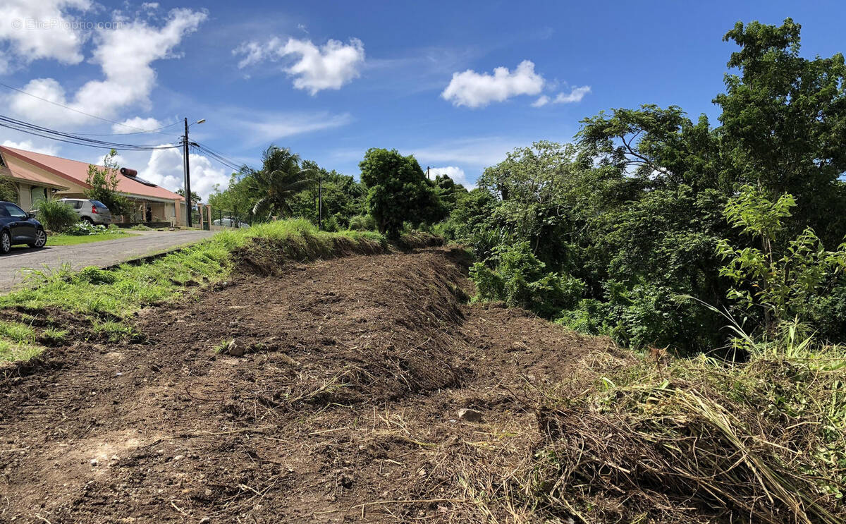 Terrain à SCHOELCHER