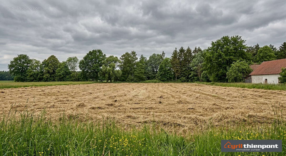 Terrain à MONS-BOUBERT