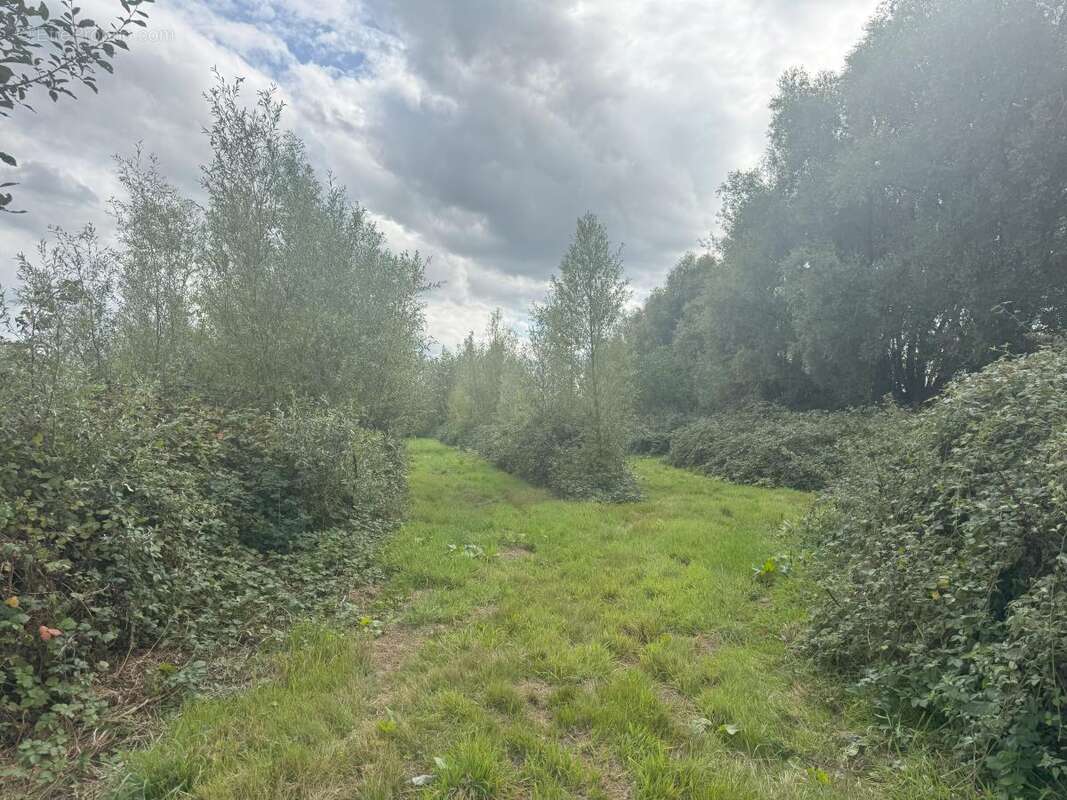 Terrain à BARZY-EN-THIERACHE